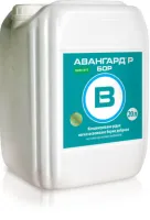 Авангард Р БОР