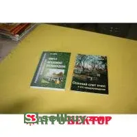 Книга Корж Осенний слет пчел